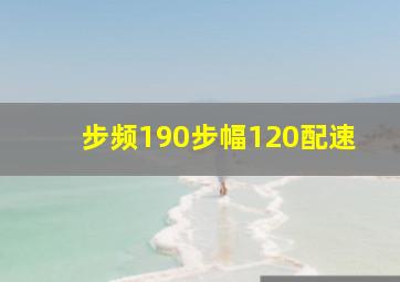 步频190步幅120配速