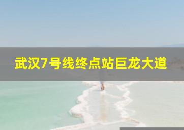 武汉7号线终点站巨龙大道