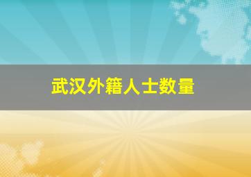 武汉外籍人士数量