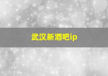 武汉新酒吧ip