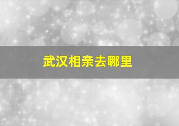 武汉相亲去哪里