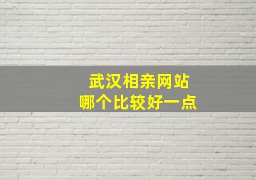 武汉相亲网站哪个比较好一点