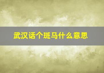 武汉话个斑马什么意思