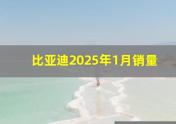 比亚迪2025年1月销量