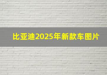 比亚迪2025年新款车图片