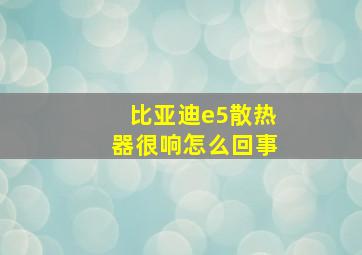 比亚迪e5散热器很响怎么回事