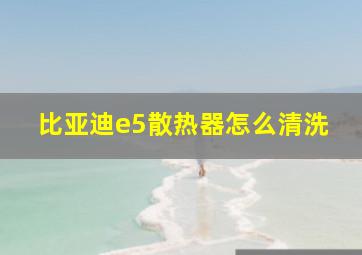 比亚迪e5散热器怎么清洗