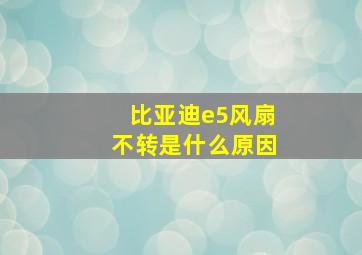 比亚迪e5风扇不转是什么原因