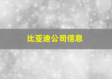 比亚迪公司信息