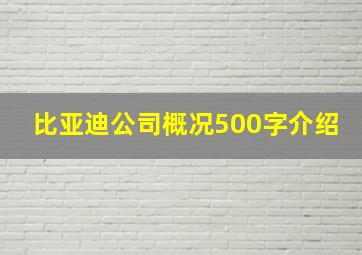 比亚迪公司概况500字介绍