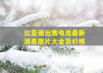 比亚迪出售电池最新消息图片大全及价格