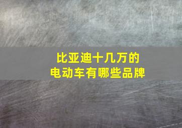 比亚迪十几万的电动车有哪些品牌