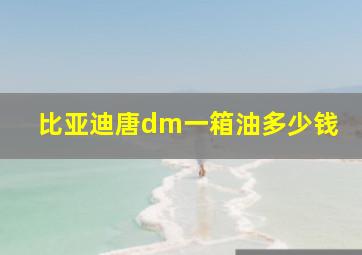 比亚迪唐dm一箱油多少钱