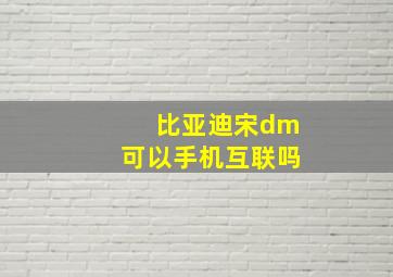 比亚迪宋dm可以手机互联吗