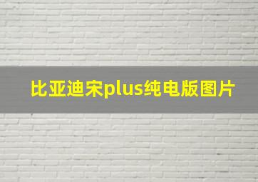 比亚迪宋plus纯电版图片