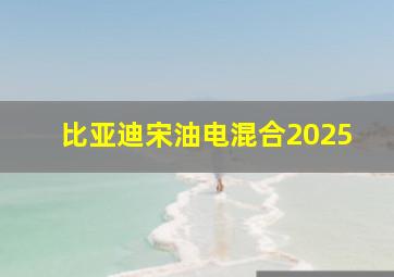 比亚迪宋油电混合2025