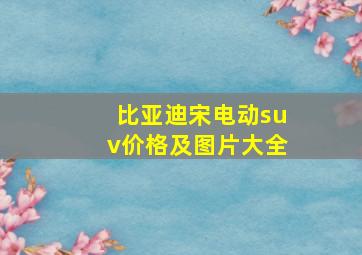 比亚迪宋电动suv价格及图片大全