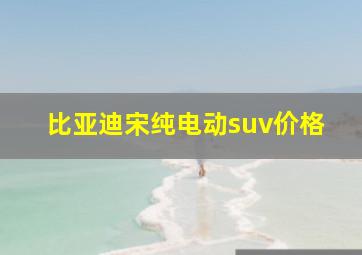 比亚迪宋纯电动suv价格