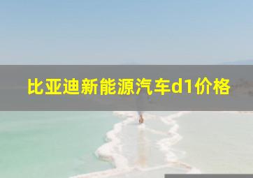 比亚迪新能源汽车d1价格