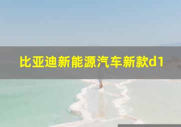 比亚迪新能源汽车新款d1