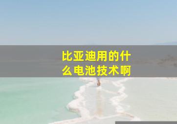 比亚迪用的什么电池技术啊