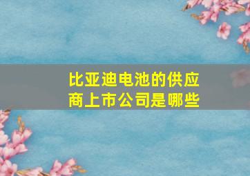 比亚迪电池的供应商上市公司是哪些