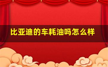 比亚迪的车耗油吗怎么样