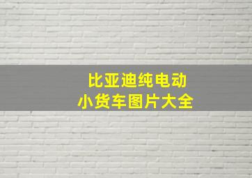 比亚迪纯电动小货车图片大全