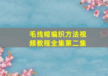 毛线帽编织方法视频教程全集第二集