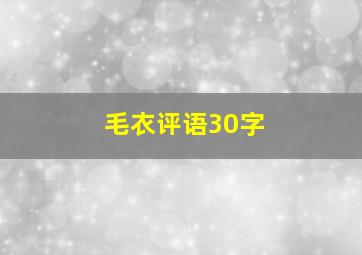 毛衣评语30字