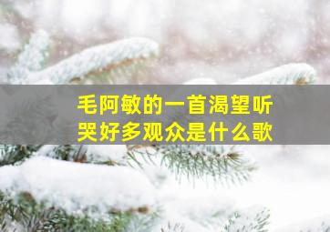 毛阿敏的一首渴望听哭好多观众是什么歌