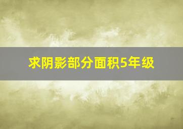 求阴影部分面积5年级