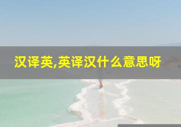 汉译英,英译汉什么意思呀