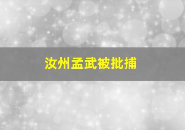 汝州孟武被批捕