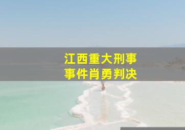 江西重大刑事事件肖勇判决