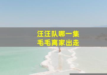 汪汪队哪一集毛毛离家出走