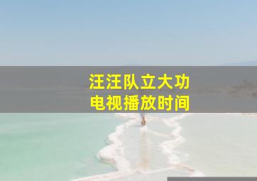 汪汪队立大功电视播放时间