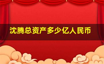 沈腾总资产多少亿人民币