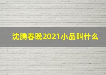 沈腾春晚2021小品叫什么