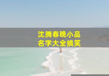 沈腾春晚小品名字大全搞笑