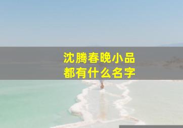 沈腾春晚小品都有什么名字