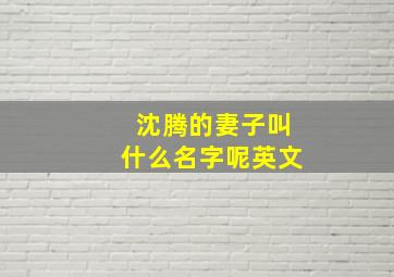 沈腾的妻子叫什么名字呢英文