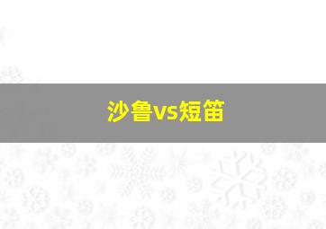 沙鲁vs短笛