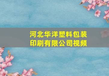 河北华洋塑料包装印刷有限公司视频