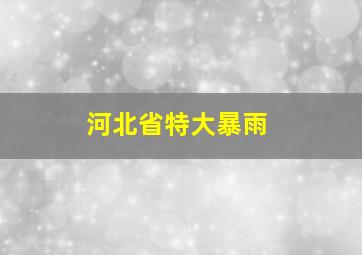 河北省特大暴雨