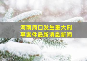 河南周口发生重大刑事案件最新消息新闻