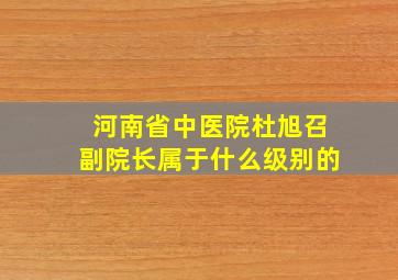 河南省中医院杜旭召副院长属于什么级别的