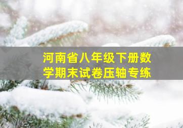 河南省八年级下册数学期末试卷压轴专练