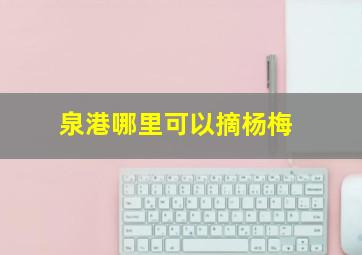 泉港哪里可以摘杨梅