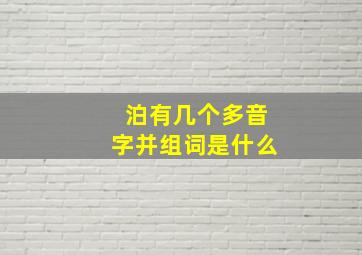 泊有几个多音字并组词是什么